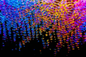 Quantum-Safe Cryptography & Standards: QSC, PQC, QKD & More!