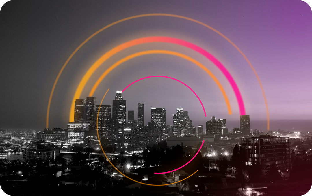 Professional Services Offerings